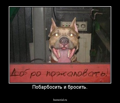 Побарбосить и бросить.