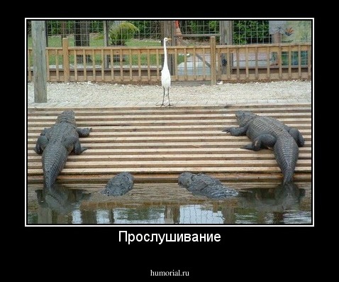 Прослушивание