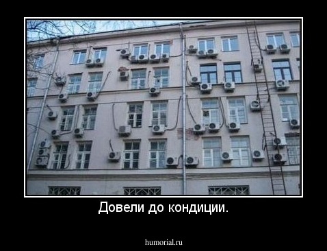 Довели до кондиции.