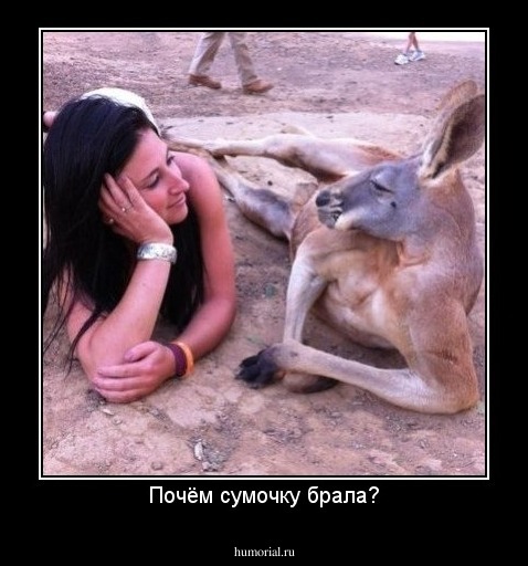 Почём сумочку брала?