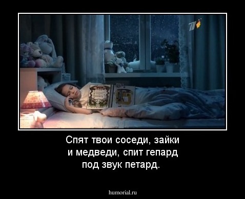 Спят твои соседи, зайки и медведи, спит гепард под звук петард.