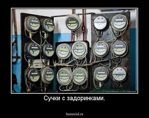 Сучки с задоринками.