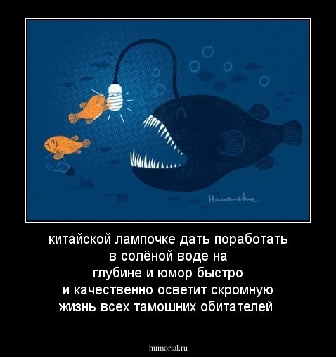 китайской лампочке дать  поработать  в солёной воде на глубине и юмор быстро и качественно осветит скромную жизнь всех тамошних обитателей
