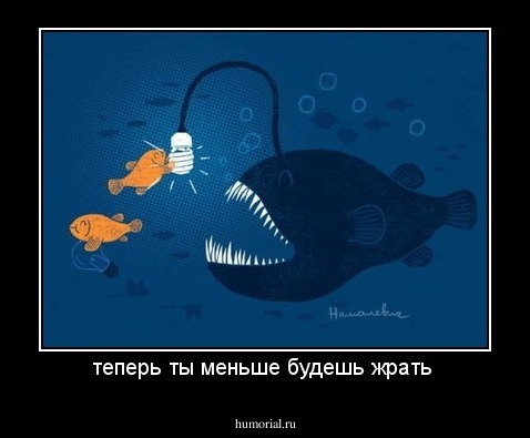 теперь ты меньше будешь жрать 