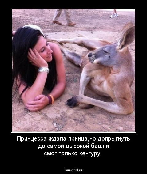 Принцесса ждала принца,но допрыгнуть до самой высокой башни смог только кенгуру.