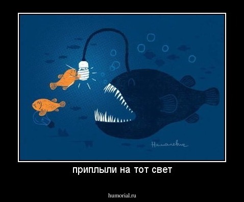 приплыли на тот свет