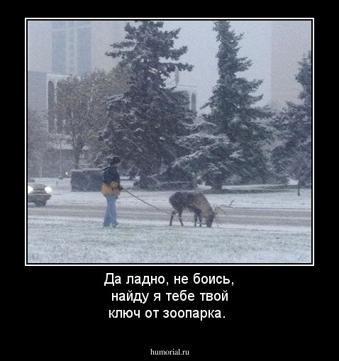 Да ладно, не боись, найду я тебе твой ключ от зоопарка.