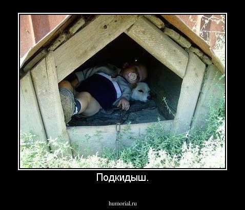 Подкидыш.