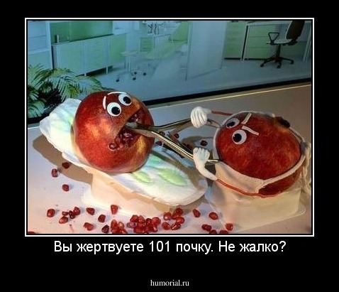 Вы жертвуете 101 почку. Не жалко?
