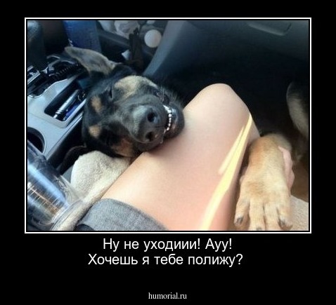 Ну не уходиии! Ауу! Хочешь я тебе полижу?