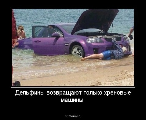 Дельфины возвращают только хреновые машины