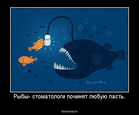 Рыбы- стоматологи починят любую пасть.