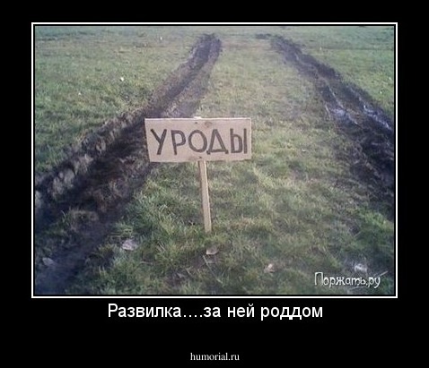 Развилка....за ней роддом