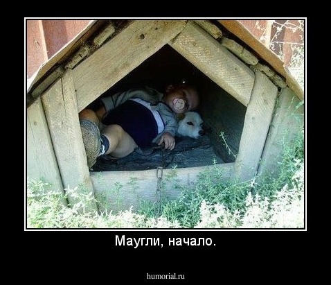 Маугли, начало.