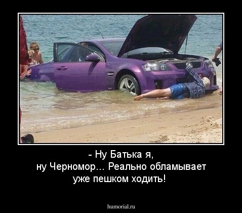 - Ну Батька я, ну Черномор... Реально обламывает уже пешком ходить!