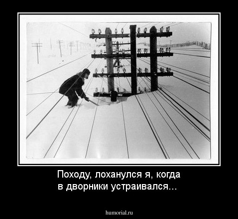 Походу, лоханулся я, когда в дворники устраивался...