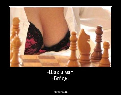 -Шах и мат.
-Бл*дь.