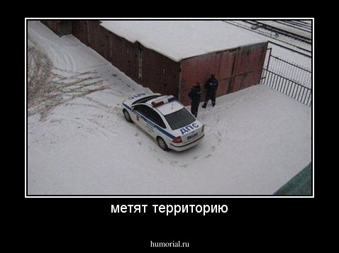 метят территорию