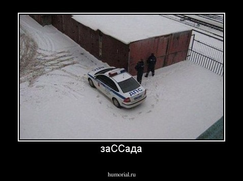 заССада