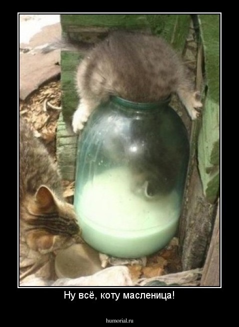 Ну всё, коту масленица!