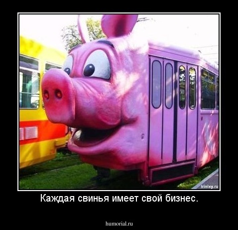 Каждая свинья имеет свой бизнес.