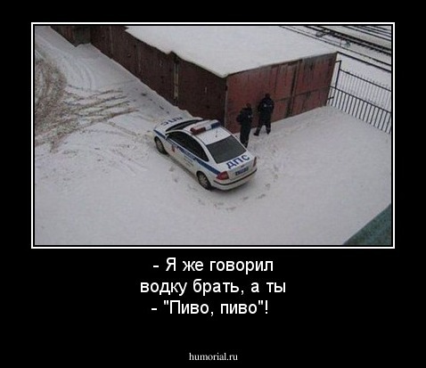 - Я же говорил водку брать, а ты - "Пиво, пиво"!