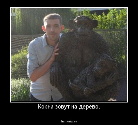 Корни зовут на дерево.