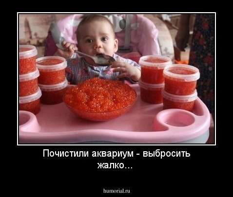 Почистили аквариум - выбросить жалко...   