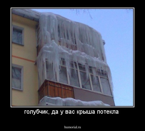 голубчик, да у вас крыша потекла 