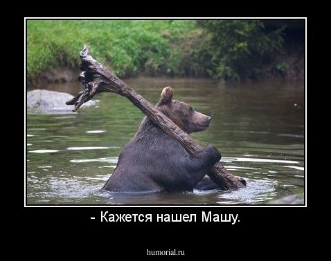 - Кажется нашел Машу.
