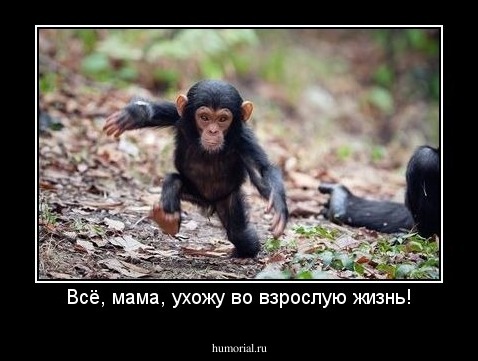 Всё, мама, ухожу во взрослую жизнь!