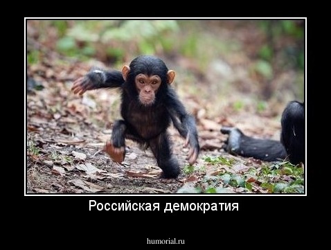 Российская демократия 