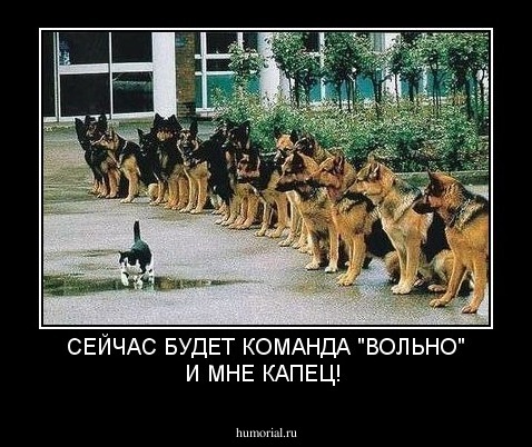 СЕЙЧАС БУДЕТ КОМАНДА "ВОЛЬНО" И МНЕ КАПЕЦ!