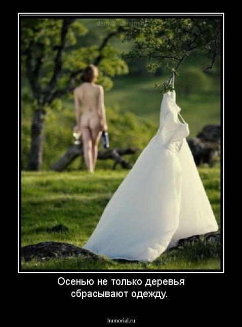 Осенью не только деревья сбрасывают одежду.