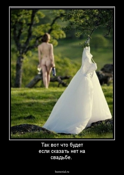 Так вот что будет если сказать нет на свадьбе.