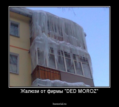 Жалюзи от фирмы "DED MOROZ"