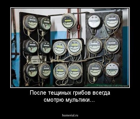 После тещиных грибов всегда смотрю мультики...