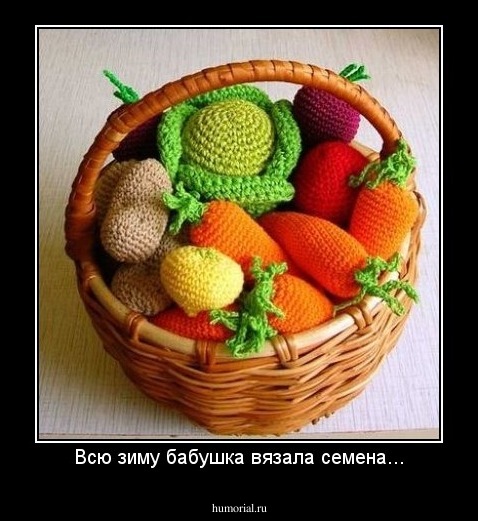 Всю зиму бабушка вязала семена...