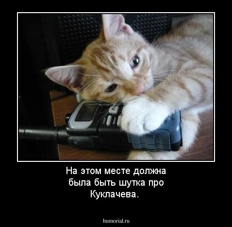 На этом месте должна была быть шутка про Куклачева.