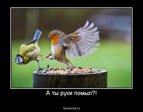А ты руки помыл?!