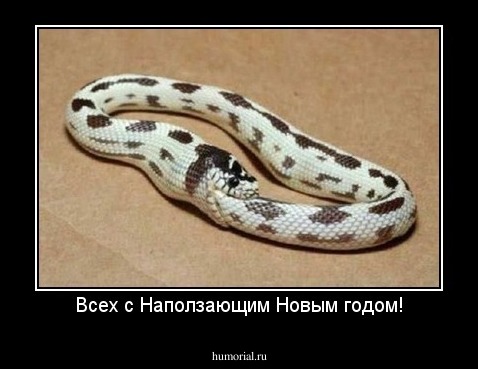 Всех с Наползающим Новым годом!