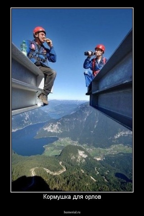 Кормушка для орлов