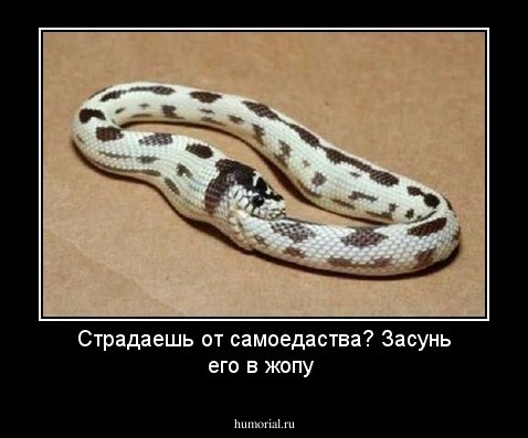 Страдаешь от самоедаства? Засунь его в жопу