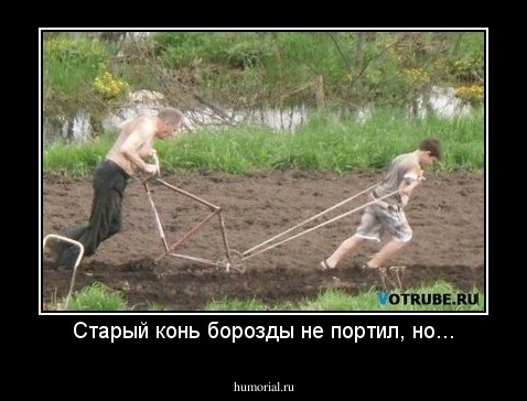 Старый конь борозды не портил, но...
