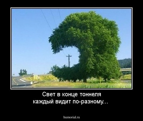 Свет в конце тоннеля каждый видит по-разному...