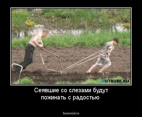 Сеявшие со слезами будут пожинать с радостью