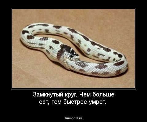 Замкнутый круг. Чем больше ест, тем быстрее умрет.