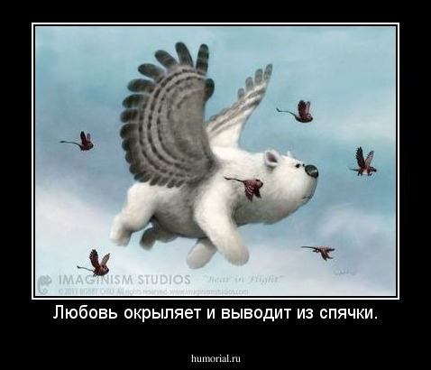 Любовь окрыляет и выводит из спячки.