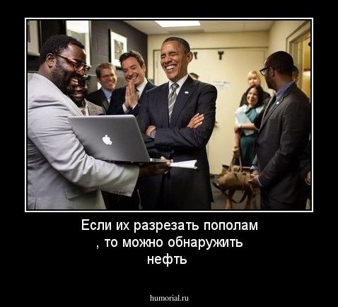 Если их разрезать пополам , то можно обнаружить нефть