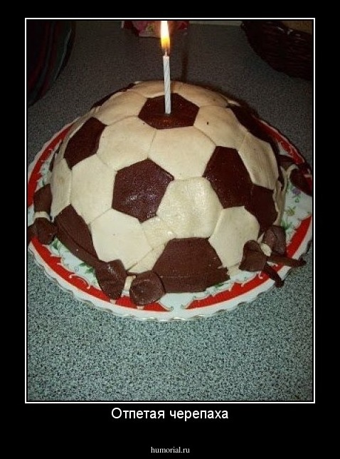 Отпетая черепаха